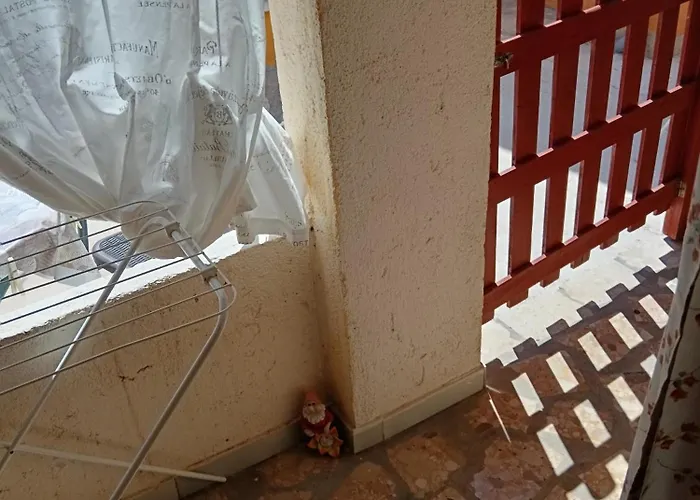 Lara * ברודאריצה