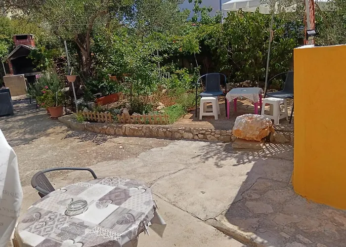 Lara ברודאריצה