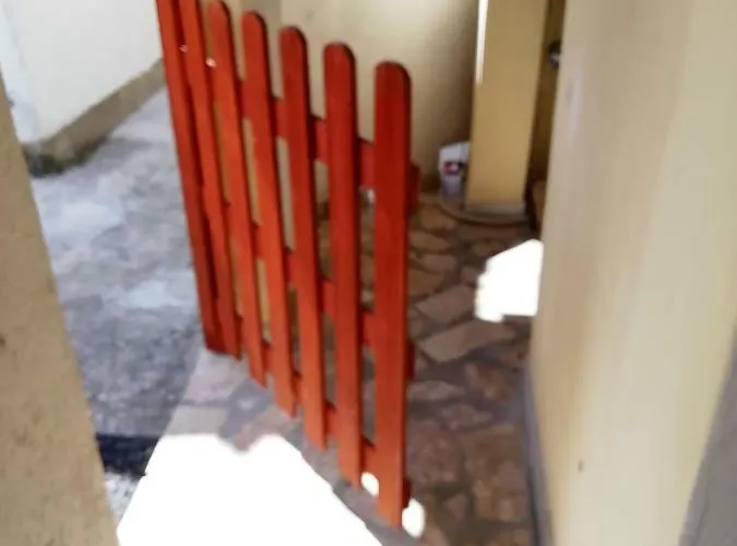 Lara * ברודאריצה